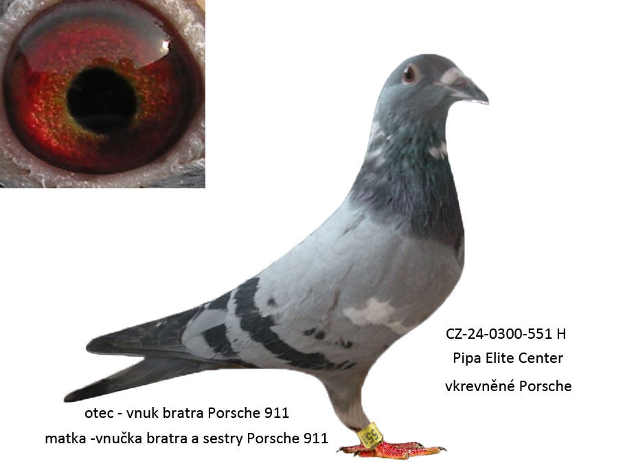 551
